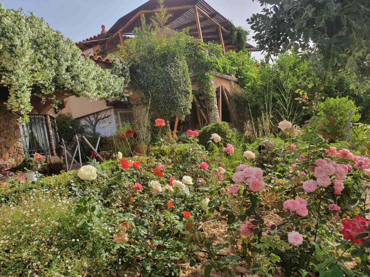 Nadia'S Traditional Greek House Anavyssos Ngoại thất bức ảnh
